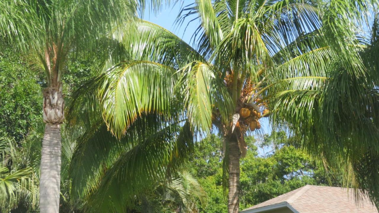 Luxury 3-Bedroom Home Near Beaches With Pool Vero Beach Luaran gambar